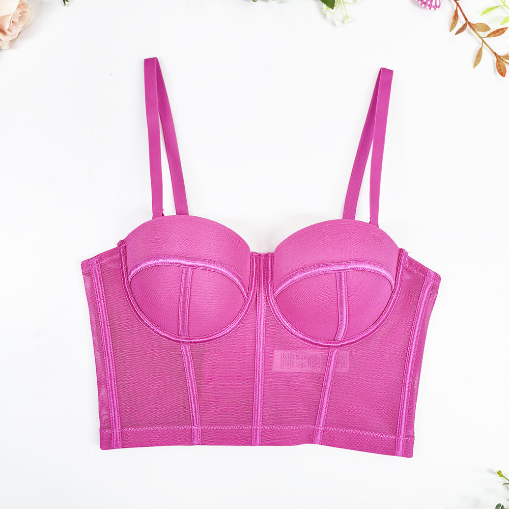 Sheer Mesh Longline Bustier Top